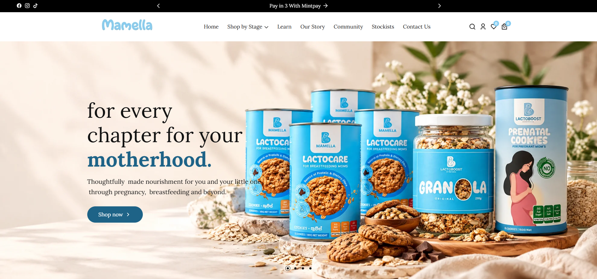 Mamella Shopify website redesign project by AccelAsia